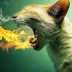 Meet your Posher, Igor